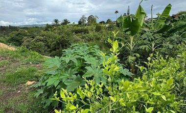 VENTA de LOTES en PEREIRA