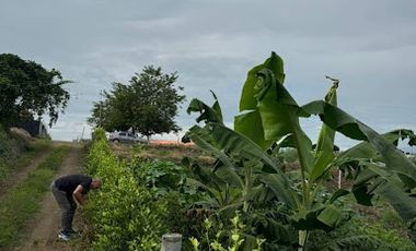 VENTA de LOTES en PEREIRA