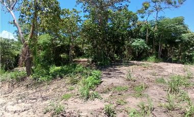 COSTA ESMERALDA / SAN CARLOS  / TERRENO / 1000 m2 / EXCLUSIVO
