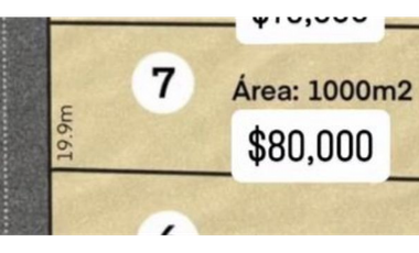 COSTA ESMERALDA / SAN CARLOS  / TERRENO / 1000 m2 / EXCLUSIVO