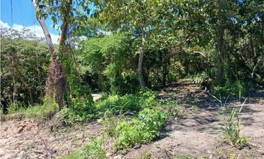 COSTA ESMERALDA / SAN CARLOS  / TERRENO / 1000 m2 / EXCLUSIVO