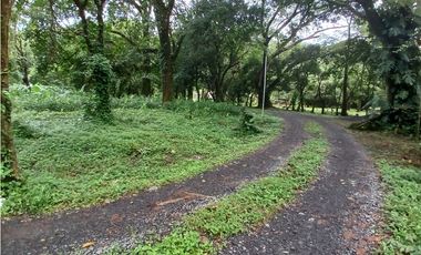 TERRENO PLANO / VALLE DE ANTON / 2717 m2 / CLIMA FRIO