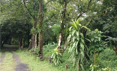 TERRENO PLANO / VALLE DE ANTON / 2717 m2 / CLIMA FRIO