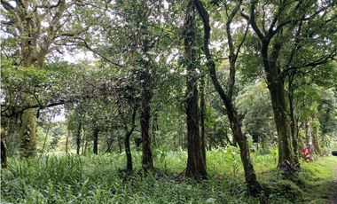 TERRENO PLANO / VALLE DE ANTON / 2717 m2 / CLIMA FRIO