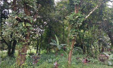 TERRENO PLANO / VALLE DE ANTON / 2717 m2 / CLIMA FRIO