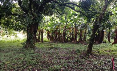 VALLE DE ANTON / 3110 m2 / CLIMA FRIO / TERRENO PLANO