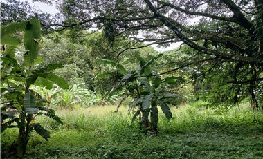 VALLE DE ANTON / 3110 m2 / CLIMA FRIO / TERRENO PLANO