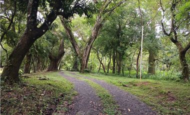 VALLE DE ANTON / 3110 m2 / CLIMA FRIO / TERRENO PLANO