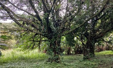 VALLE DE ANTON / 3110 m2 / CLIMA FRIO / TERRENO PLANO