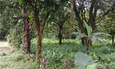 VALLE DE ANTON / 3110 m2 / CLIMA FRIO / TERRENO PLANO