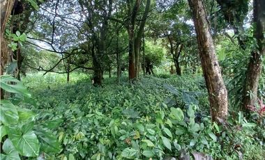 VALLE DE ANTON / 3110 m2 / CLIMA FRIO / TERRENO PLANO