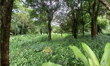 VALLE DE ANTON / 3110 m2 / CLIMA FRIO / TERRENO PLANO