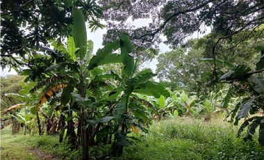 VALLE DE ANTON / 3110 m2 / CLIMA FRIO / TERRENO PLANO