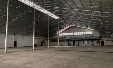 PARQUE LEFEVRE / GALERA CON ANDEN / 1000 M2  / FRENTE A VIA