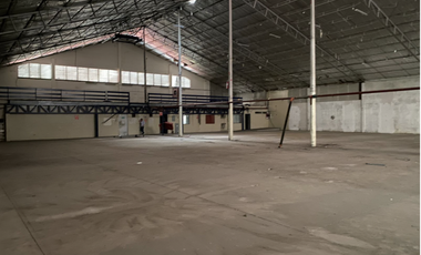 PARQUE LEFEVRE / GALERA CON ANDEN / 1000 M2  / FRENTE A VIA