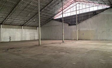 PARQUE LEFEVRE / GALERA CON ANDEN / 1000 M2  / FRENTE A VIA