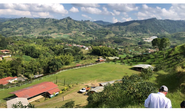 SE VENDE FINCA DE 25.000 METROS CUADRADOS A BORDE DE CARRETERA