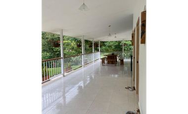 SE VENDE FINCA DE 25.000 METROS CUADRADOS A BORDE DE CARRETERA