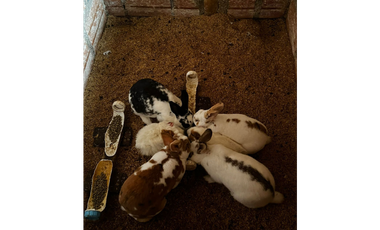 SE VENDE FINCA DE 25.000 METROS CUADRADOS A BORDE DE CARRETERA