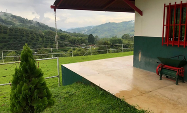 SE VENDE FINCA DE 25.000 METROS CUADRADOS A BORDE DE CARRETERA