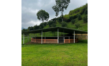 SE VENDE FINCA DE 25.000 METROS CUADRADOS A BORDE DE CARRETERA