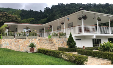 SE VENDE FINCA DE 25.000 METROS CUADRADOS A BORDE DE CARRETERA