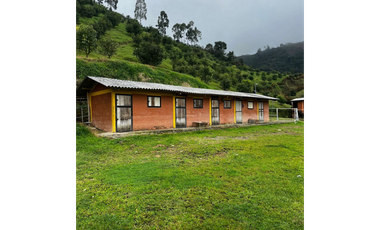 SE VENDE FINCA DE 25.000 METROS CUADRADOS A BORDE DE CARRETERA