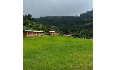 SE VENDE FINCA DE 25.000 METROS CUADRADOS A BORDE DE CARRETERA