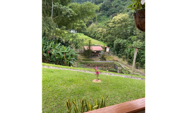 SE VENDE FINCA DE 25.000 METROS CUADRADOS A BORDE DE CARRETERA