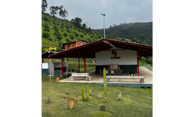 SE VENDE FINCA DE 25.000 METROS CUADRADOS A BORDE DE CARRETERA