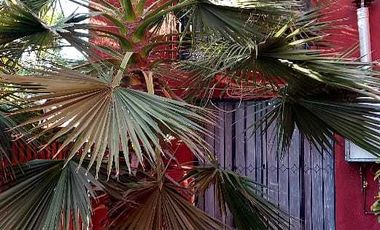 Casa en arriendo en PEÑAFLOR