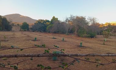 Parcelas Condominio las Mostazas 2da línea vista al Mar