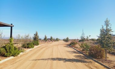 Parcelas Condominio las Mostazas 2da línea vista al Mar