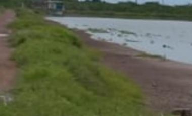 Granja de camarones en venta, Escuinapa, Sinaloa