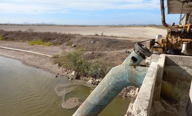 Granja de camarones en venta, Escuinapa, Sinaloa