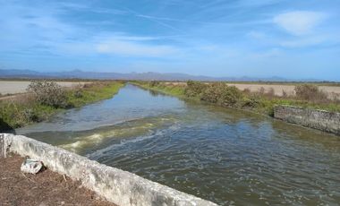 Granja de camarones en venta, Escuinapa, Sinaloa
