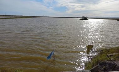 Granja de camarones en venta, Escuinapa, Sinaloa
