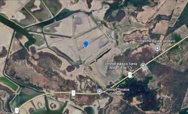 Granja de camarones en venta, Escuinapa, Sinaloa