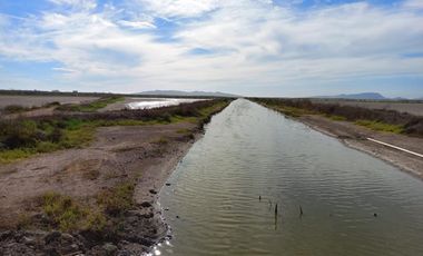 Granja de camarones en venta, Escuinapa, Sinaloa