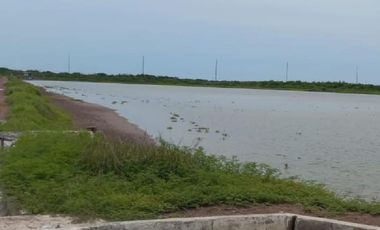 Granja de camarones en venta, Escuinapa, Sinaloa