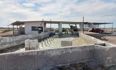 Granja de camarones en venta, Escuinapa, Sinaloa