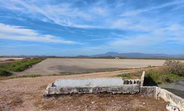 Granja de camarones en venta, Escuinapa, Sinaloa