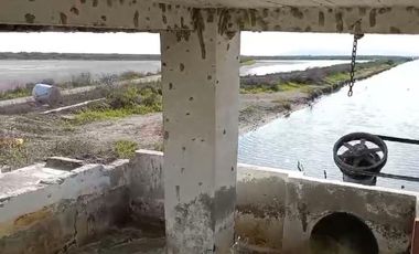 Granja de camarones en venta, Escuinapa, Sinaloa