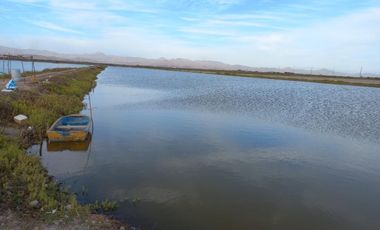 Granja de camarones en venta, Escuinapa, Sinaloa