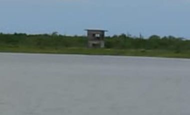 Granja de camarones en venta, Escuinapa, Sinaloa