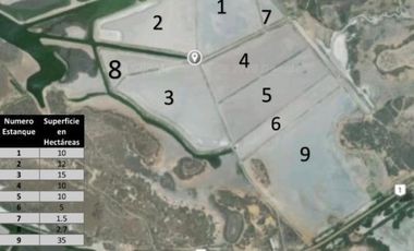 Granja de camarones en venta, Escuinapa, Sinaloa