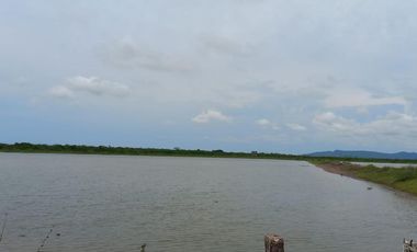 Granja de camarones en venta, Escuinapa, Sinaloa
