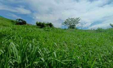 LOTE EN VENTA SANTAGUEDA - PALESTINA