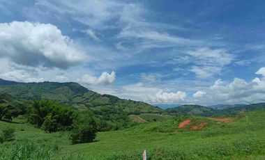 LOTE EN VENTA SANTAGUEDA - PALESTINA