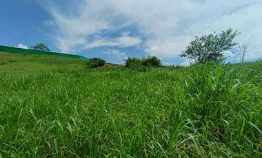 LOTE EN VENTA SANTAGUEDA - PALESTINA